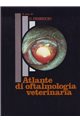 Lavorare con i gruppi in alcologia (libro + CD-rom)